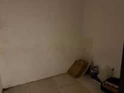 Platina Gardens (D27), Terrace #578522451